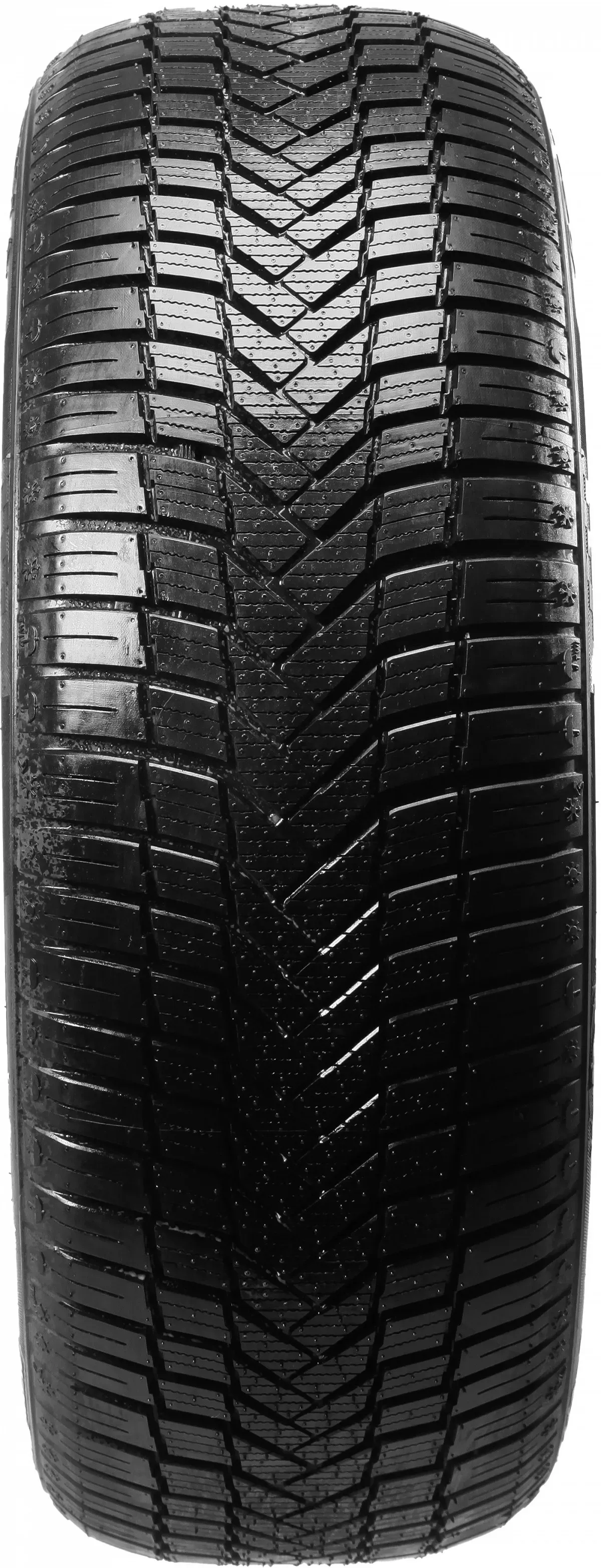 Sunny NC 501 205/55R16 91V - Bild 1