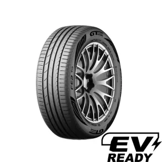 GT-Radial FE2 EVO 205/55R16 91 H - Bild 1