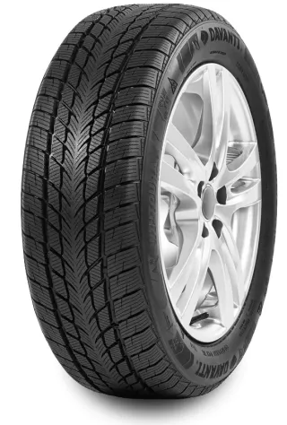 Davanti Wintoura 205/55R16 91 T - Bild 1