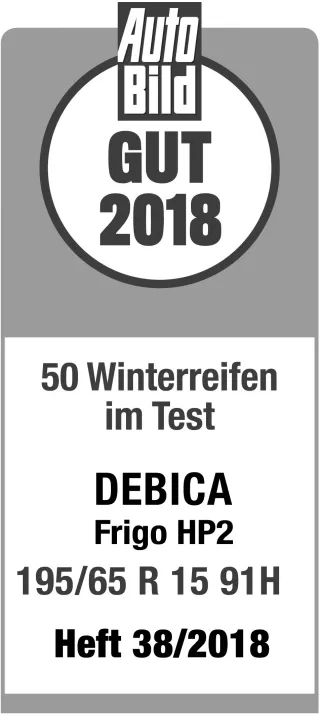 Debica Frigo HP 2 205/55R16 91 H - Bild 3