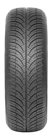 Fronway Fronwing A/S XL 205/55R16 94 V - Bild 2