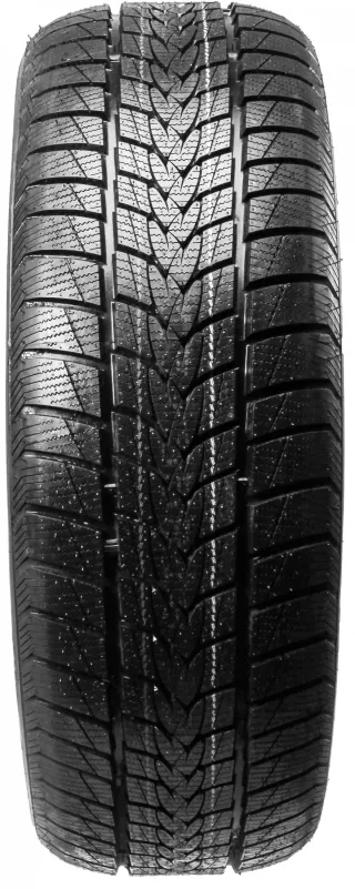 Tristar Snowpower UHP 205/55R16 91 H - Bild 1