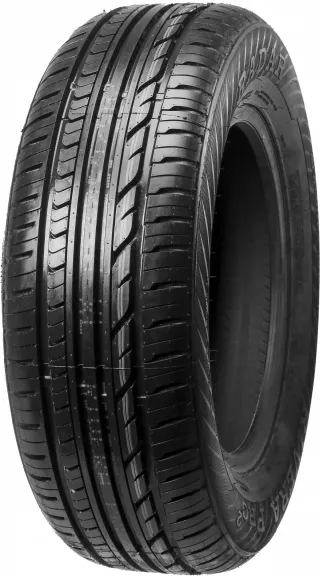 Radar Rivera PRO 2 205/55R16 91 V - Bild 2
