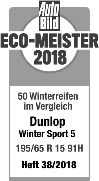 Dunlop Winter Sport 5 XL 205/55R16 94 H - Bild 5