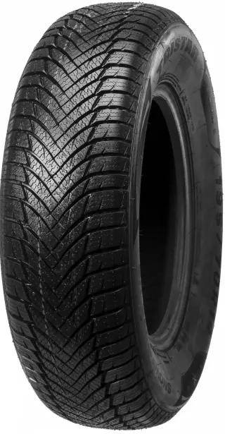 Tristar Snowpower HP 205/55R16 91 V - Bild 2
