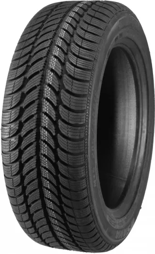 Sava Eskimo S3+ 205/55R16 91 T - Bild 2